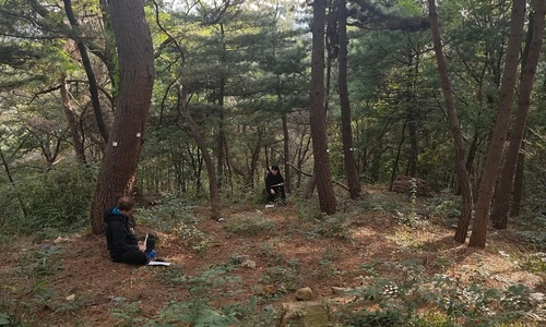 wanzi guang'anmennei (duo)